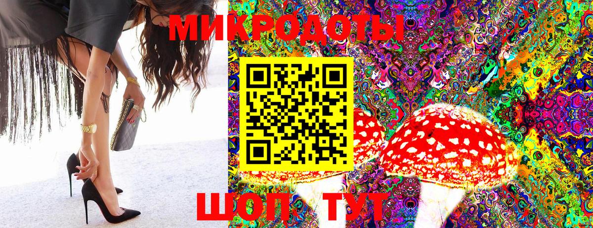 Псилоцибиновые грибы мицелий Томск