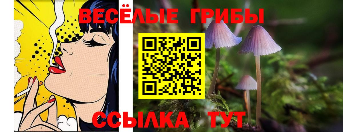 Псилоцибиновые грибы ЛСД  Галлюциногенные грибы мицелий  Томск  Вход с VPN 